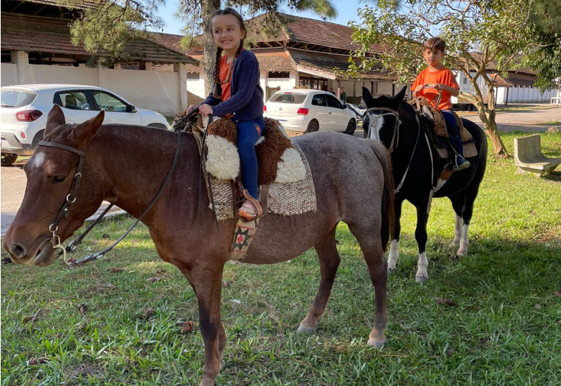 Projetos do Pré-Avançado/K5: a Educação Infantil tem destaque na Mario Quintana