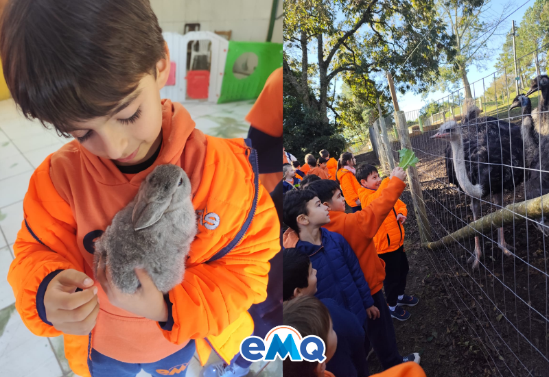 Entre trilhas, animais e brincadeiras: uma tarde especial!